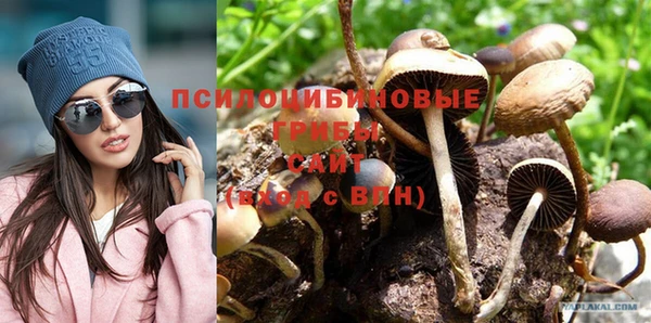 2c-b Зуевка