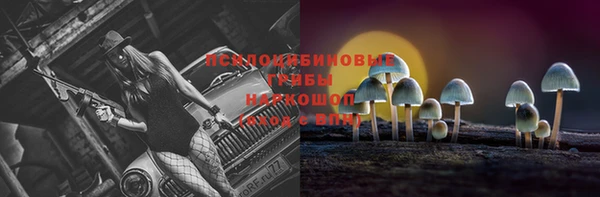 PSILOCYBIN Абинск