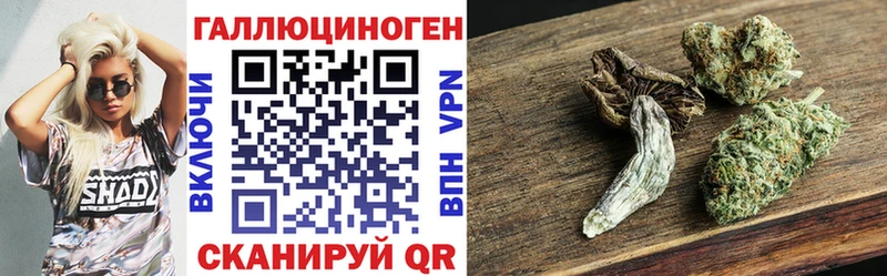 mega рабочий сайт  где продают   Костомукша  Псилоцибиновые грибы мицелий 